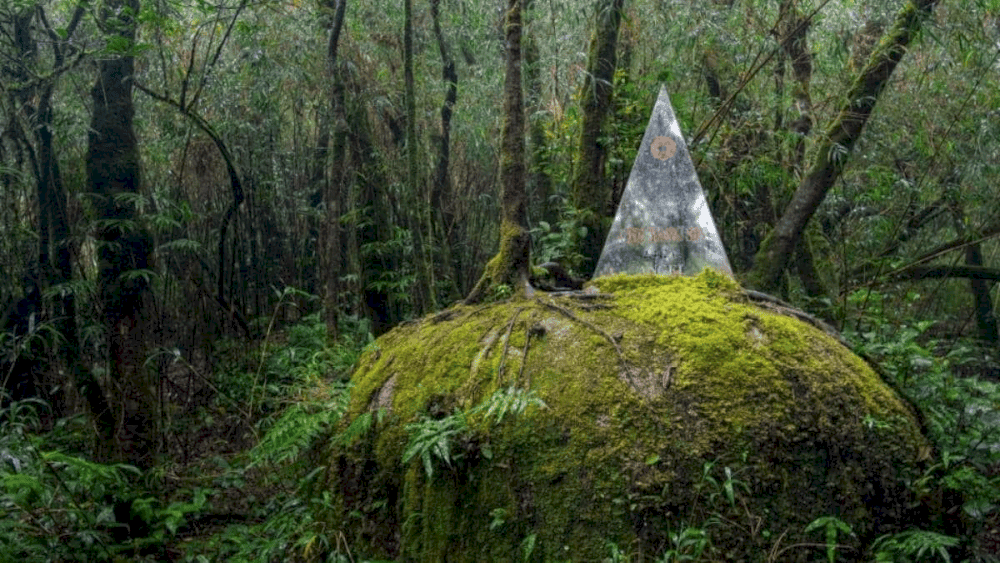 Không gian xanh mát với hệ động thực vật phong phú